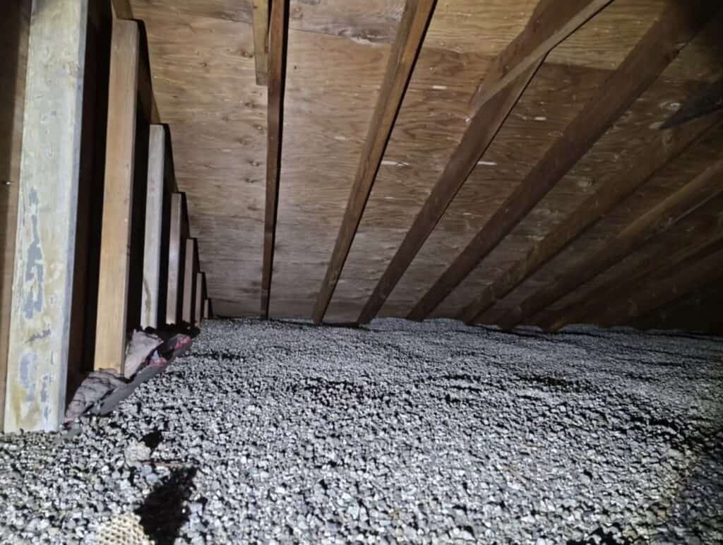 Attic insulation and exposed roof framing evaluated during a home inspection